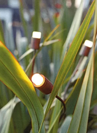 BEL LIGHTING