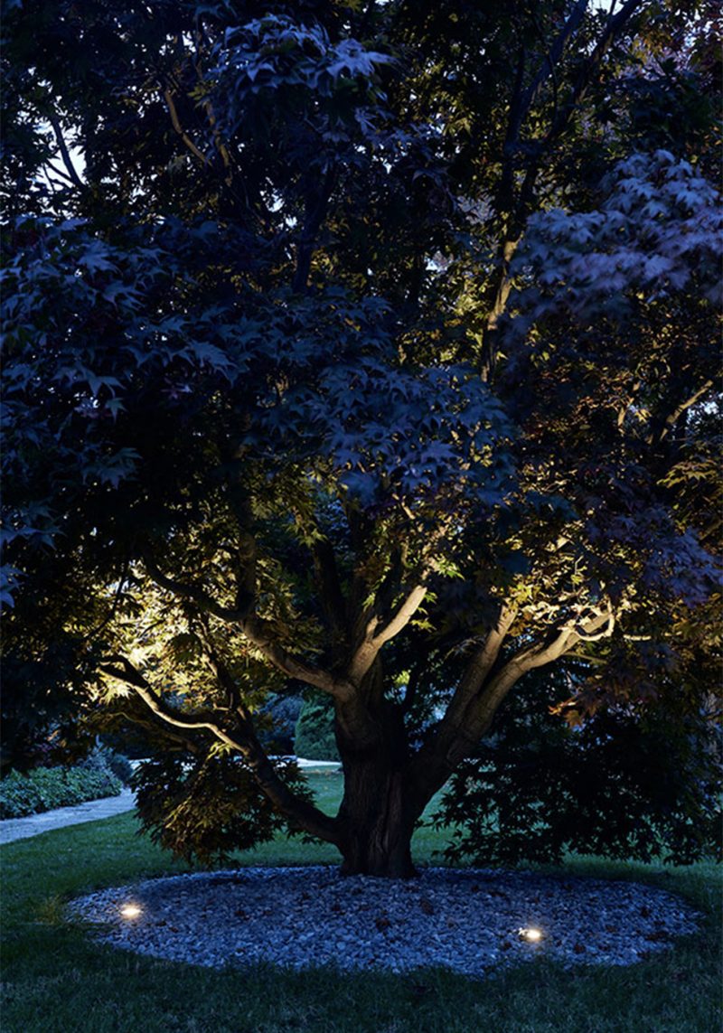 LUCE & LIGHT