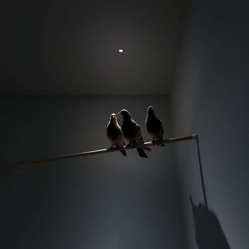 DAVIDE GROPPI