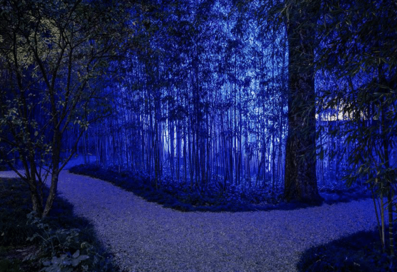 The magic of the outdoor lighting