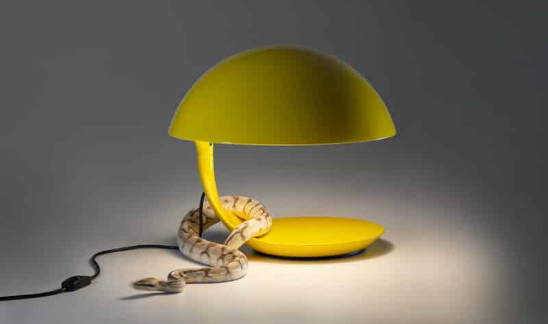 MARTINELLI LUCE