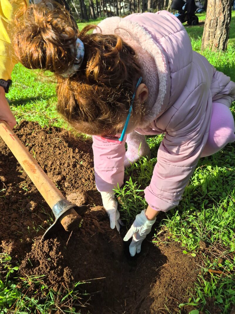 Δενδροφύτευση στο Σέιχ Σου, στη Θεσσαλονίκη: Μια συλλογική δράση με ουσιαστικό περιβαλλοντικό αποτύπωμα