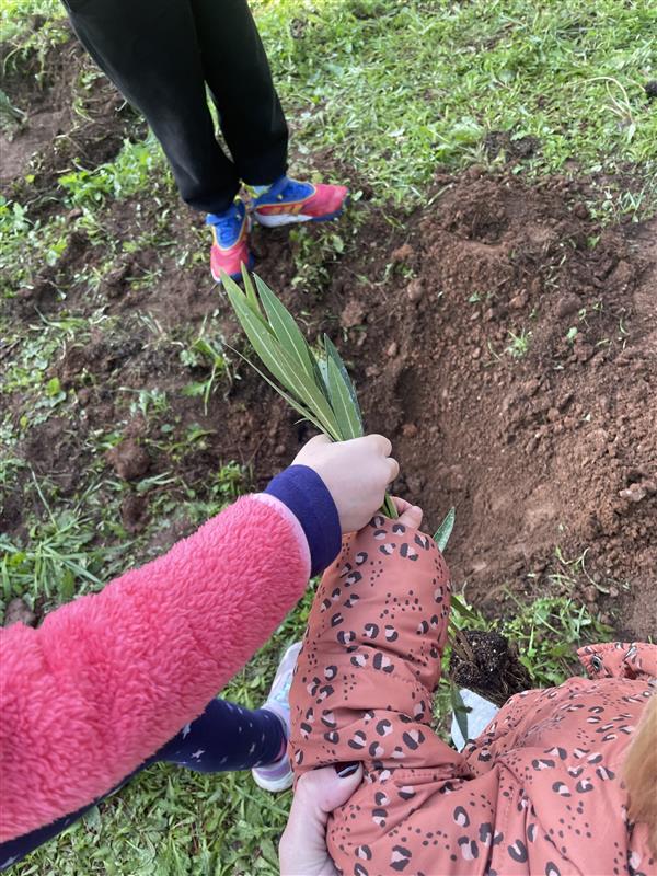 Δενδροφύτευση στο Σέιχ Σου, στη Θεσσαλονίκη: Μια συλλογική δράση με ουσιαστικό περιβαλλοντικό αποτύπωμα