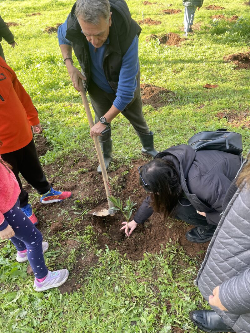 Δενδροφύτευση στο Σέιχ Σου, στη Θεσσαλονίκη: Μια συλλογική δράση με ουσιαστικό περιβαλλοντικό αποτύπωμα