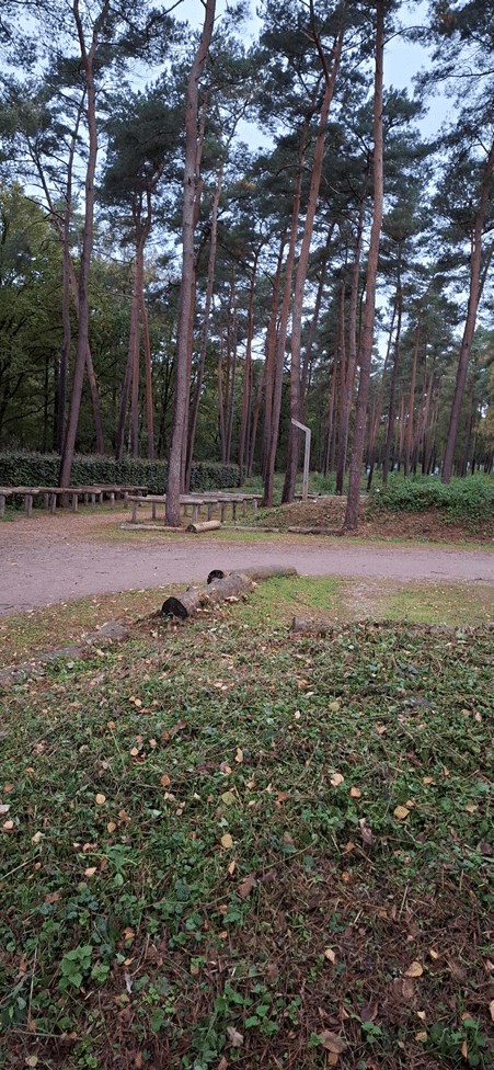 HUB Team Visit to Timberlab, the Netherlands