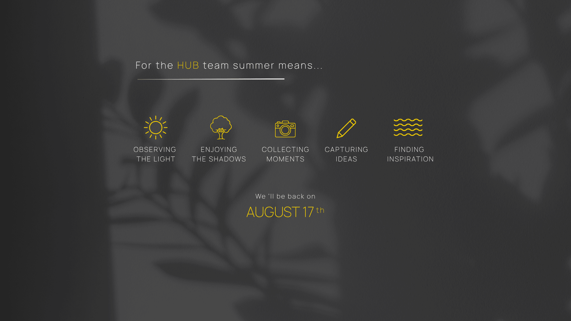 An Ode to Summer Light